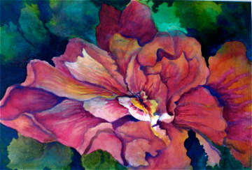 Hibiscus by Genie Morgan 