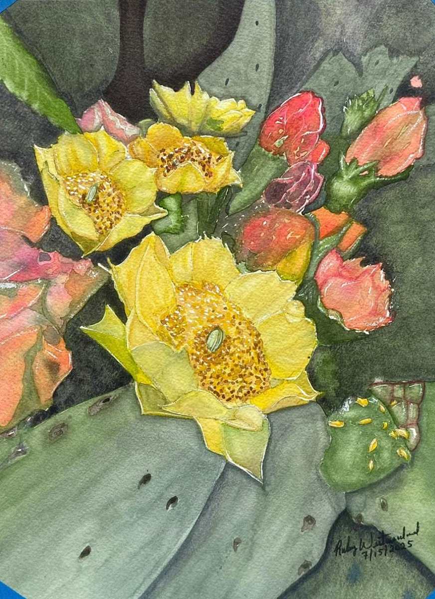 Blooming Cactus by Ruby Westmoreland 
