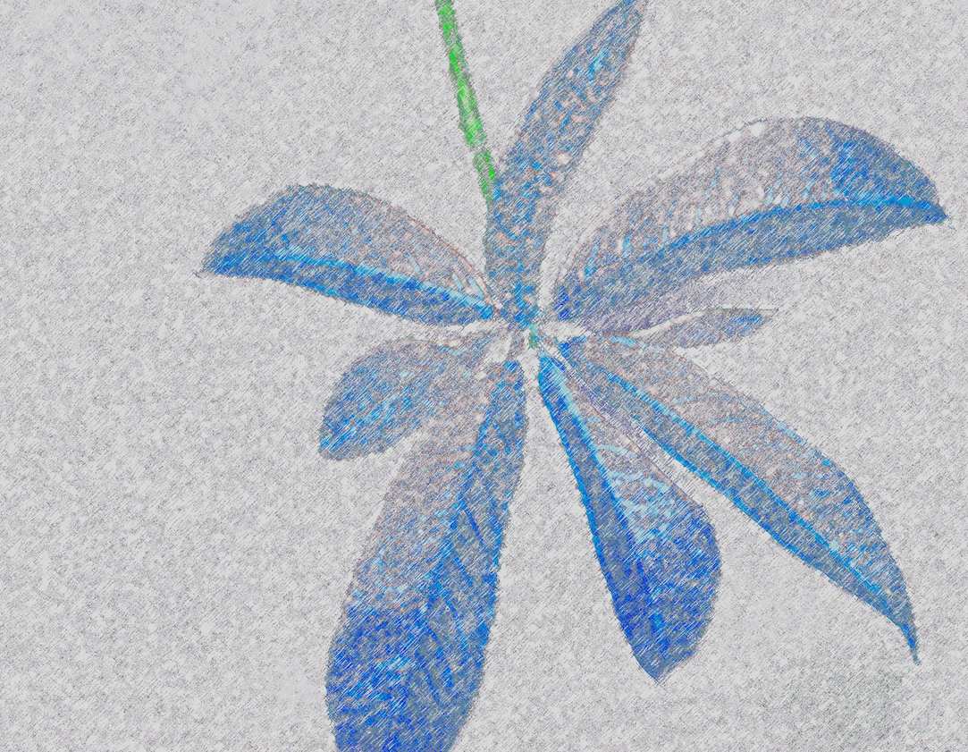 Blue Leaves by Aaron Cheeks 