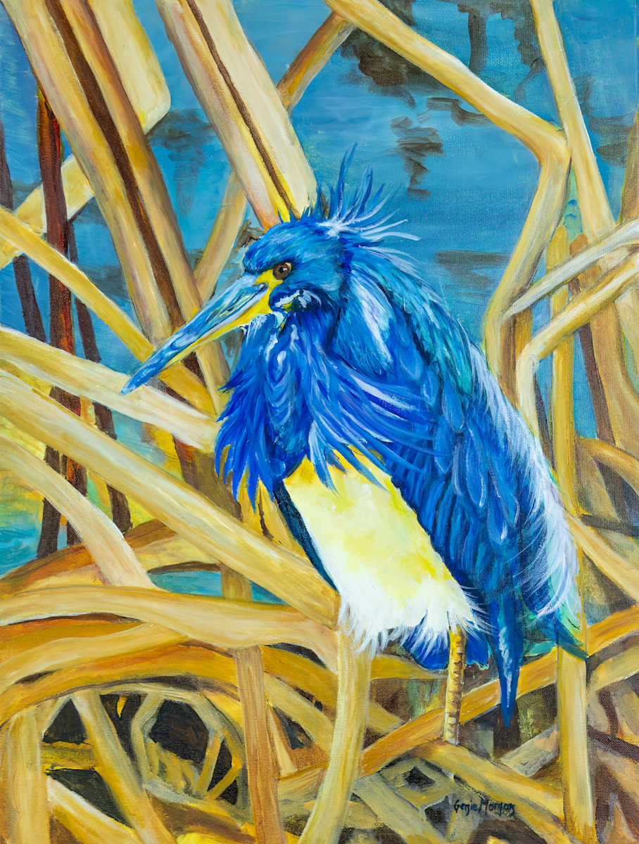 Blue Herron by Genie Morgan 