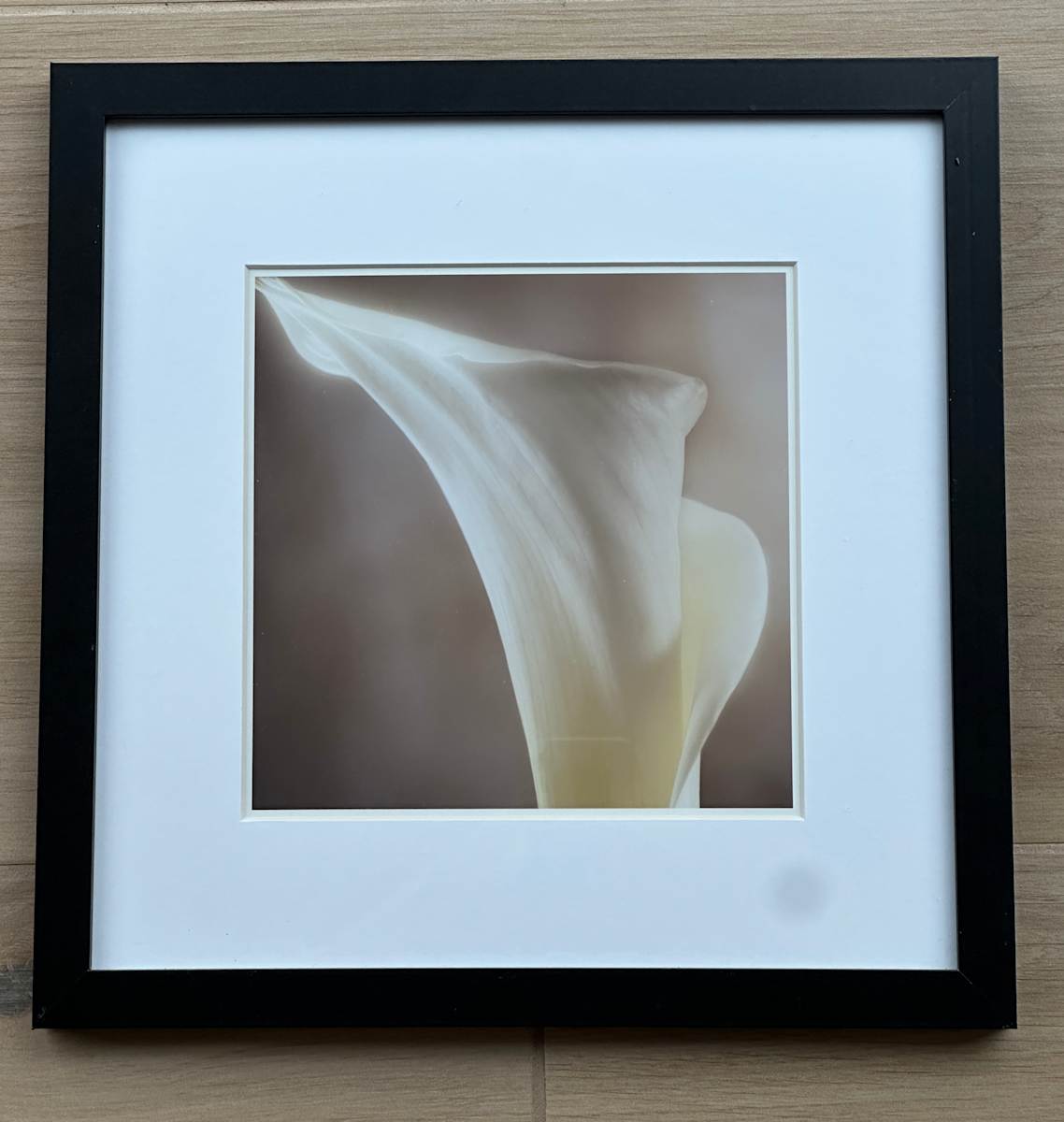 Calla by Theresa Schiefer 