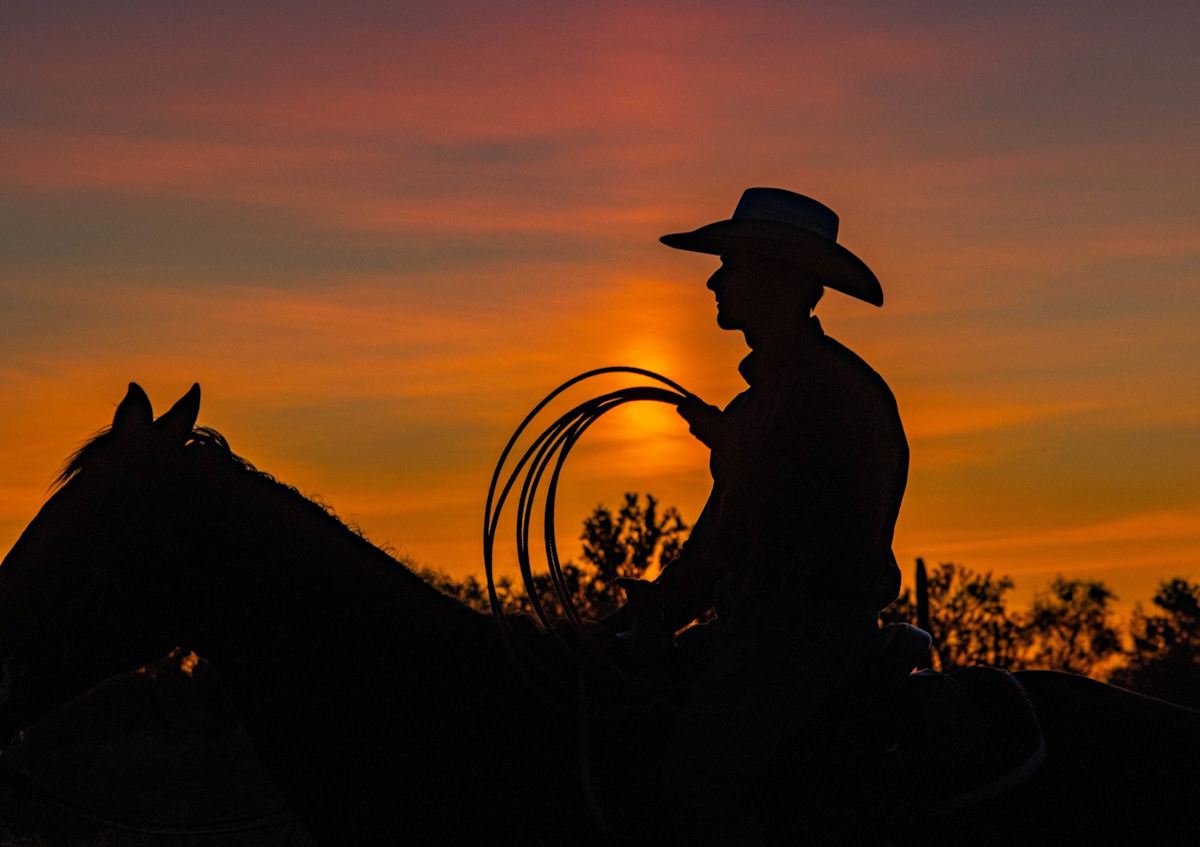 Cowboy's End of Day by Linda Davidson 