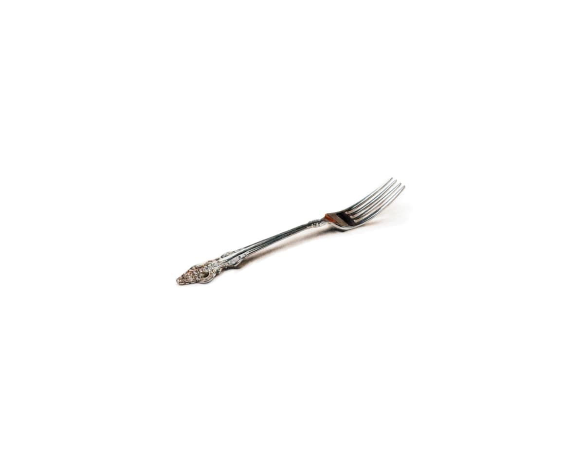 Why the Fork Not? by Mileah Lorenz 