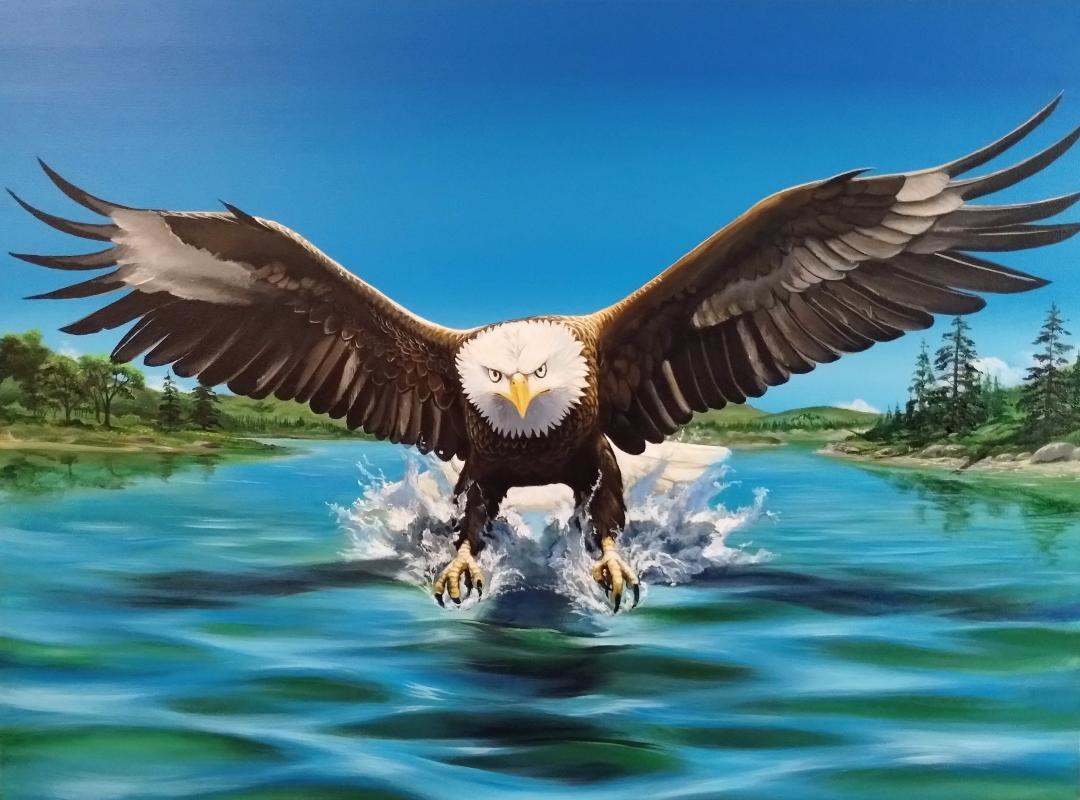 Eagle Hangin' 8 by Heiko Schlueter 