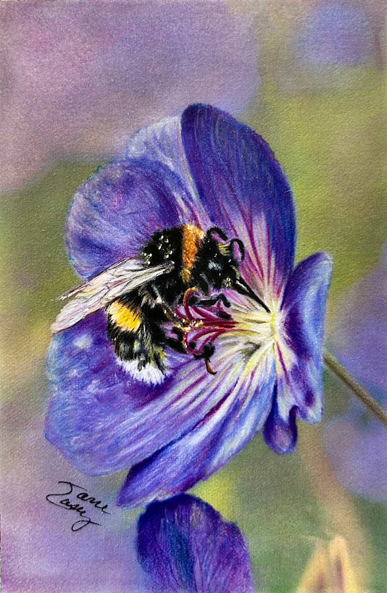 Buff-tailed Bumblebee by Jane Casey, Image 1.