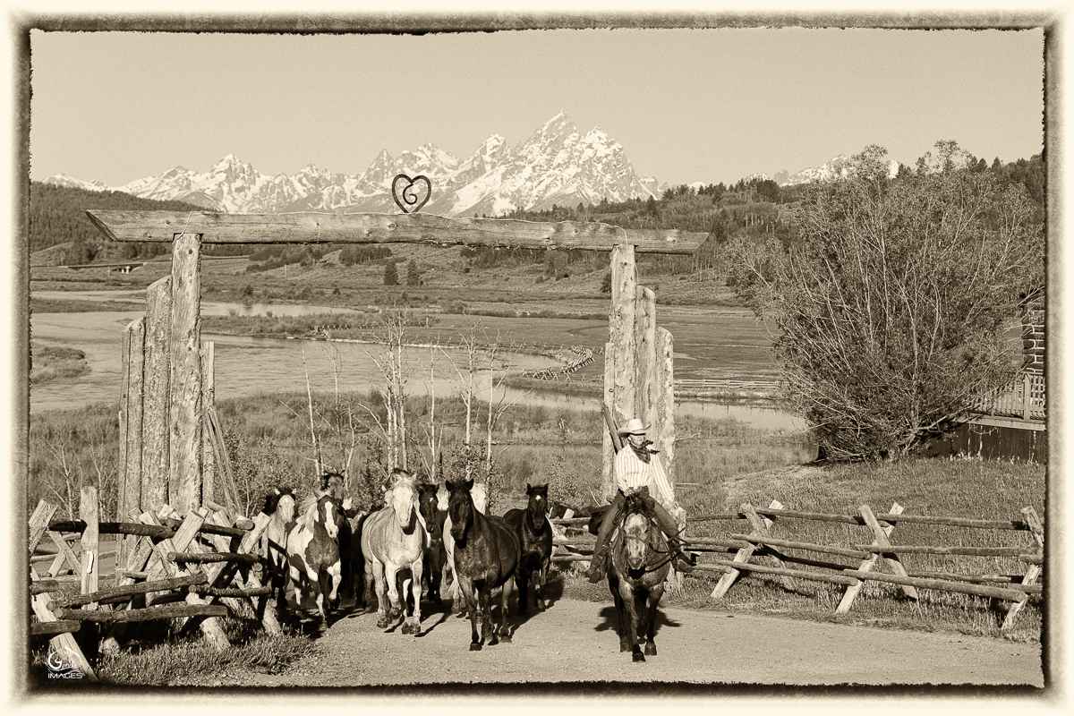 Round Up by Jeanne Harford 