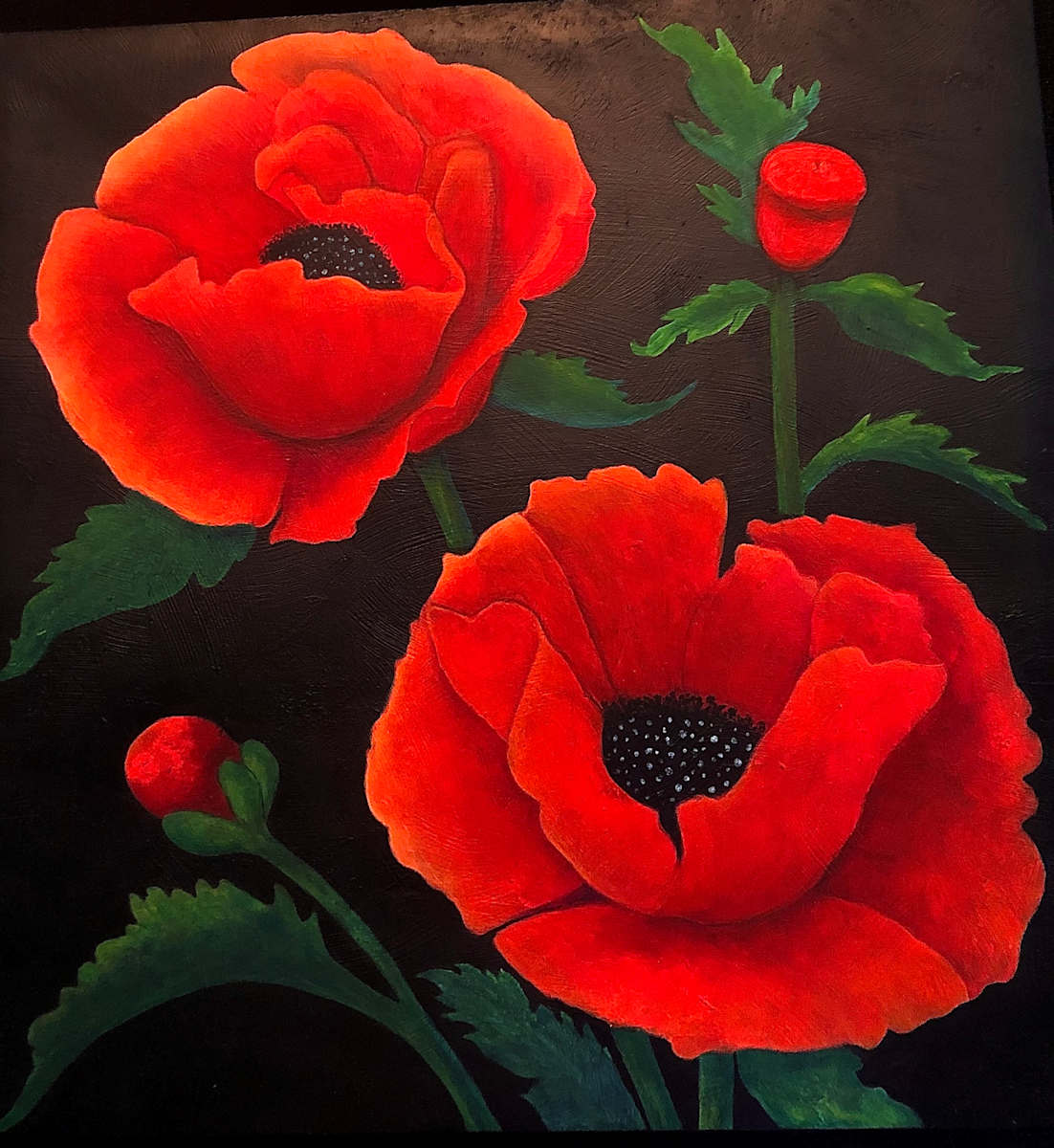 Red Poppies by Donna Cariker 