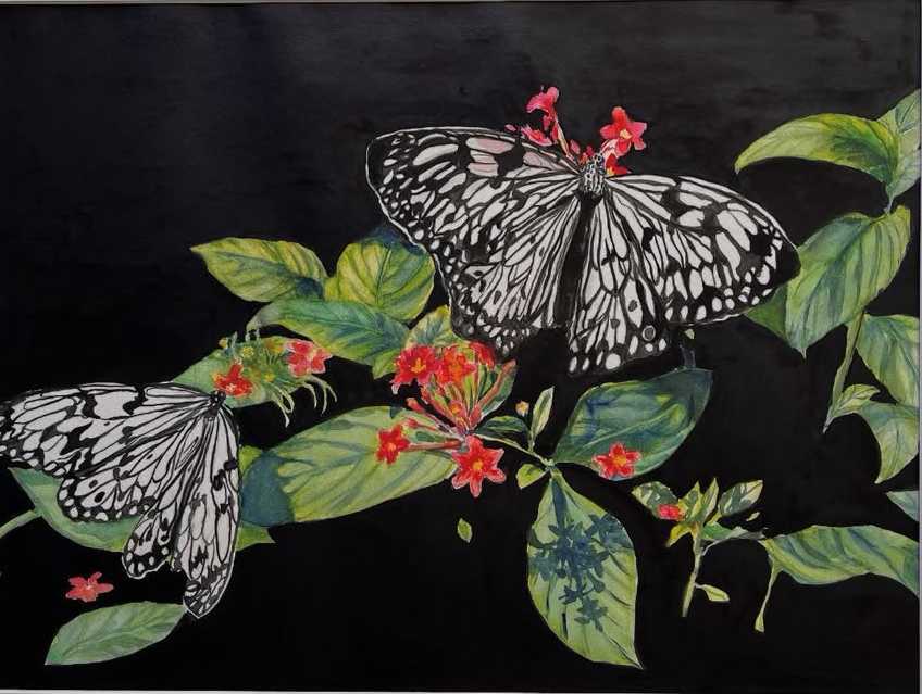 Black and White Beauty by Liz Reese 