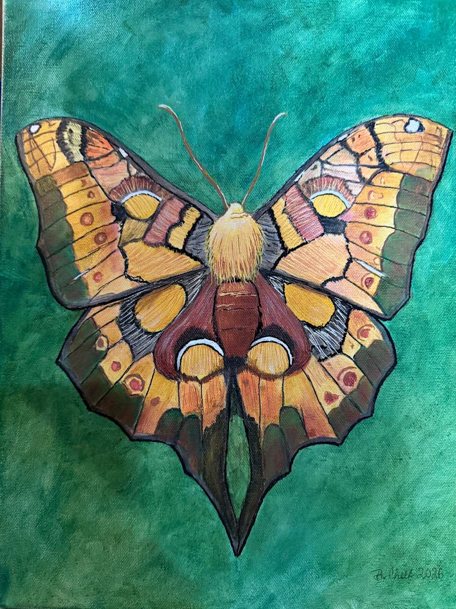 Butterfly Moth 2 by Becky Chelf, Image 1.
