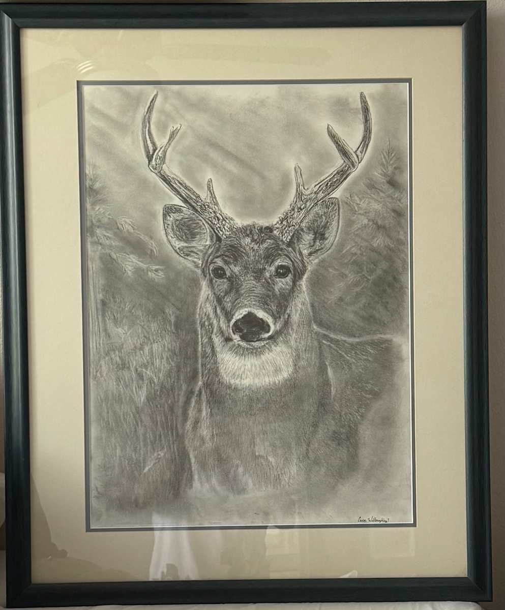 The Light of Dawn by Erica Willoughby  Image: The Light of Dawn 18x24