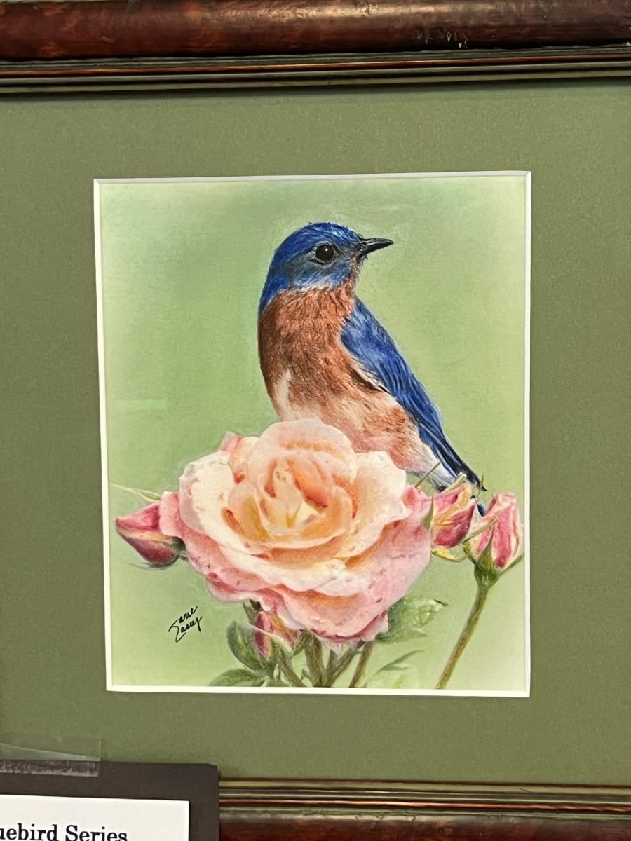 My Favorite Rose - Blue Bird Series by Jane Casey 