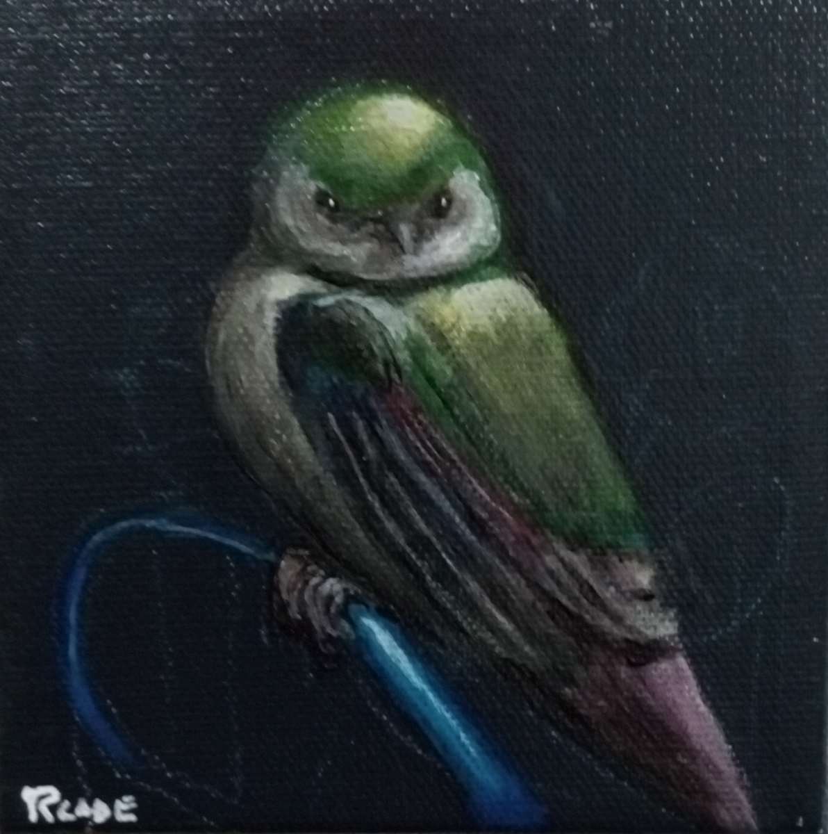 Night wing by Rick Cade 