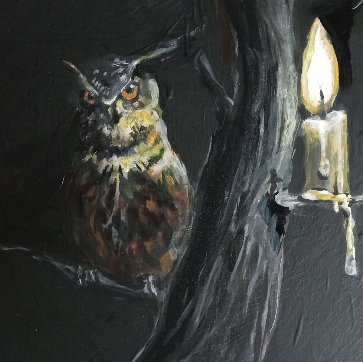 Night owl by Rick Cade 