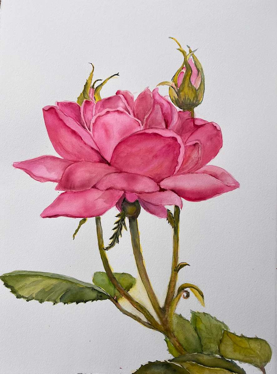 Backyard Beauty by Liz Reese, Image 1.