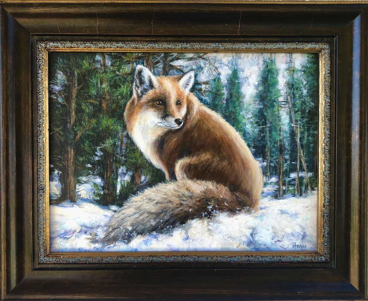 Evening Visitor by Vickie Fears  Image: This gorgeous fellow and his mate came to our cabin door every evening in Breckenridge, CO. He would take food from our hand.