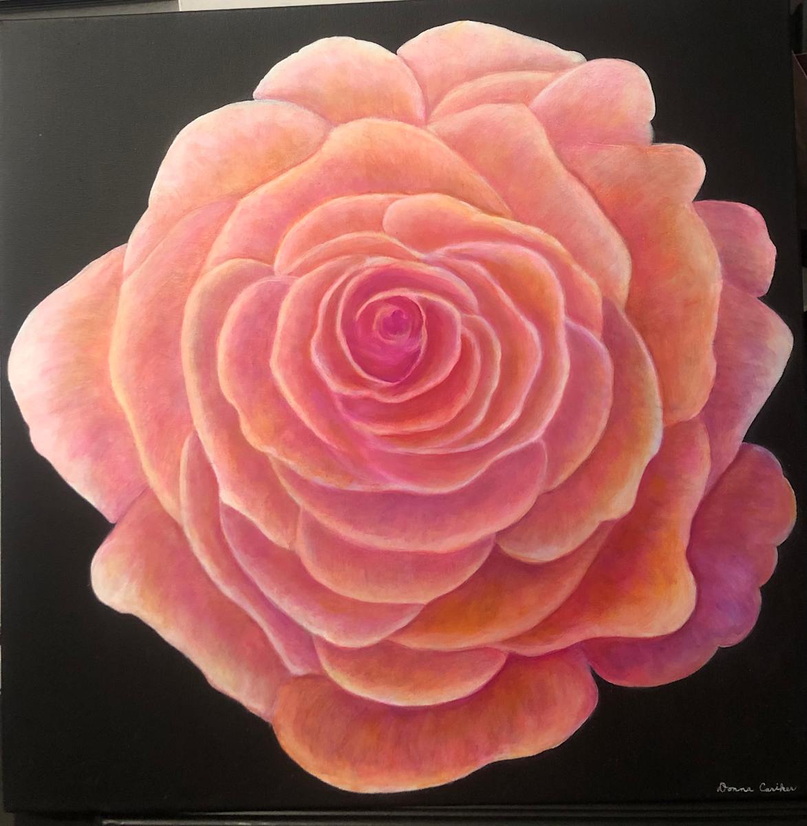 Mystic Rose by Donna Cariker 