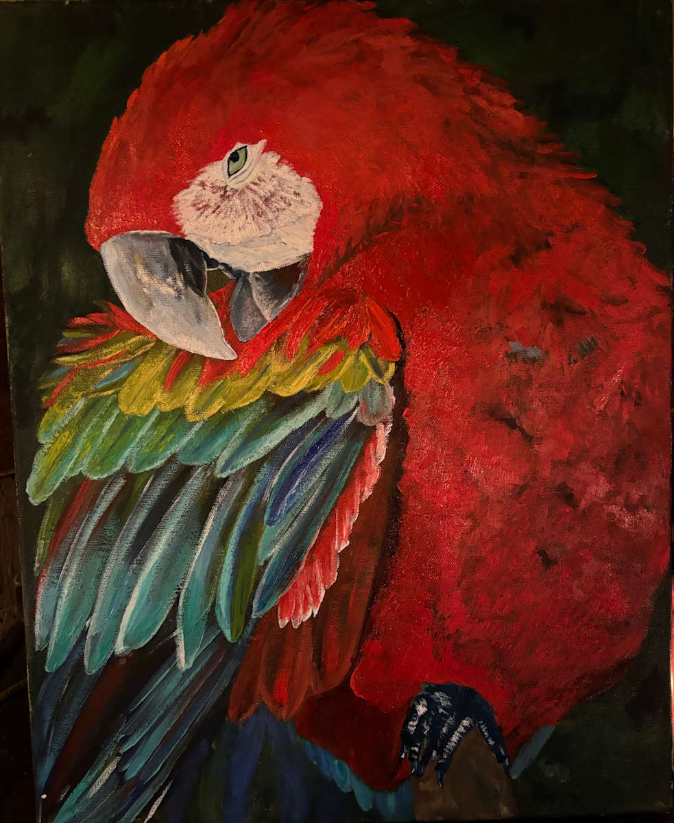 Pretty Perch by Felicia Gunter 