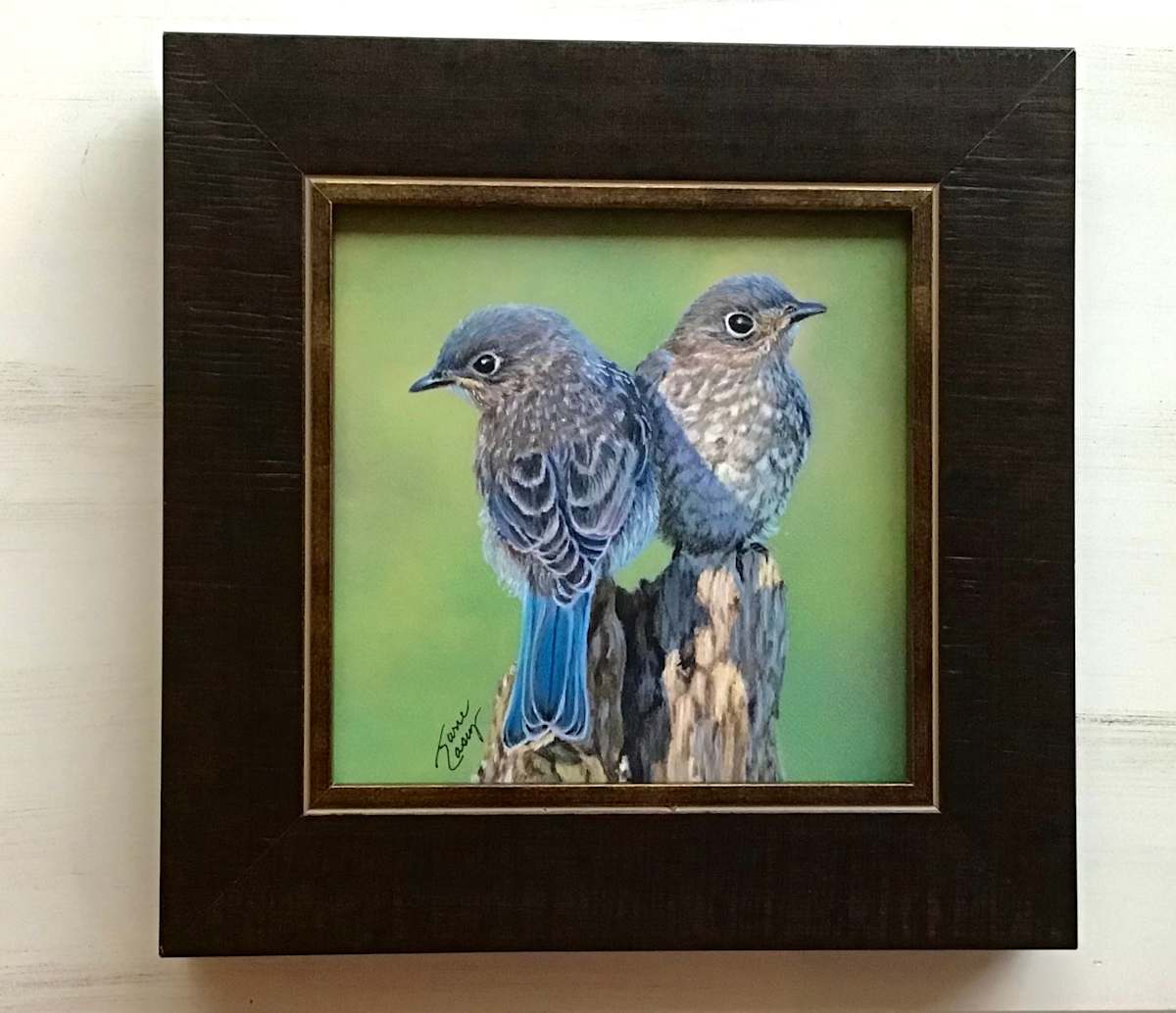 Just Starting Out by Jane Casey 