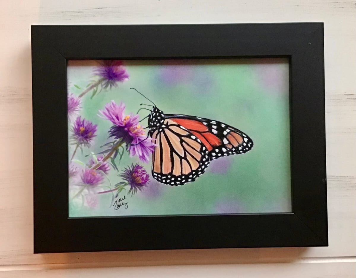 Monarch on Asters by Jane Casey 