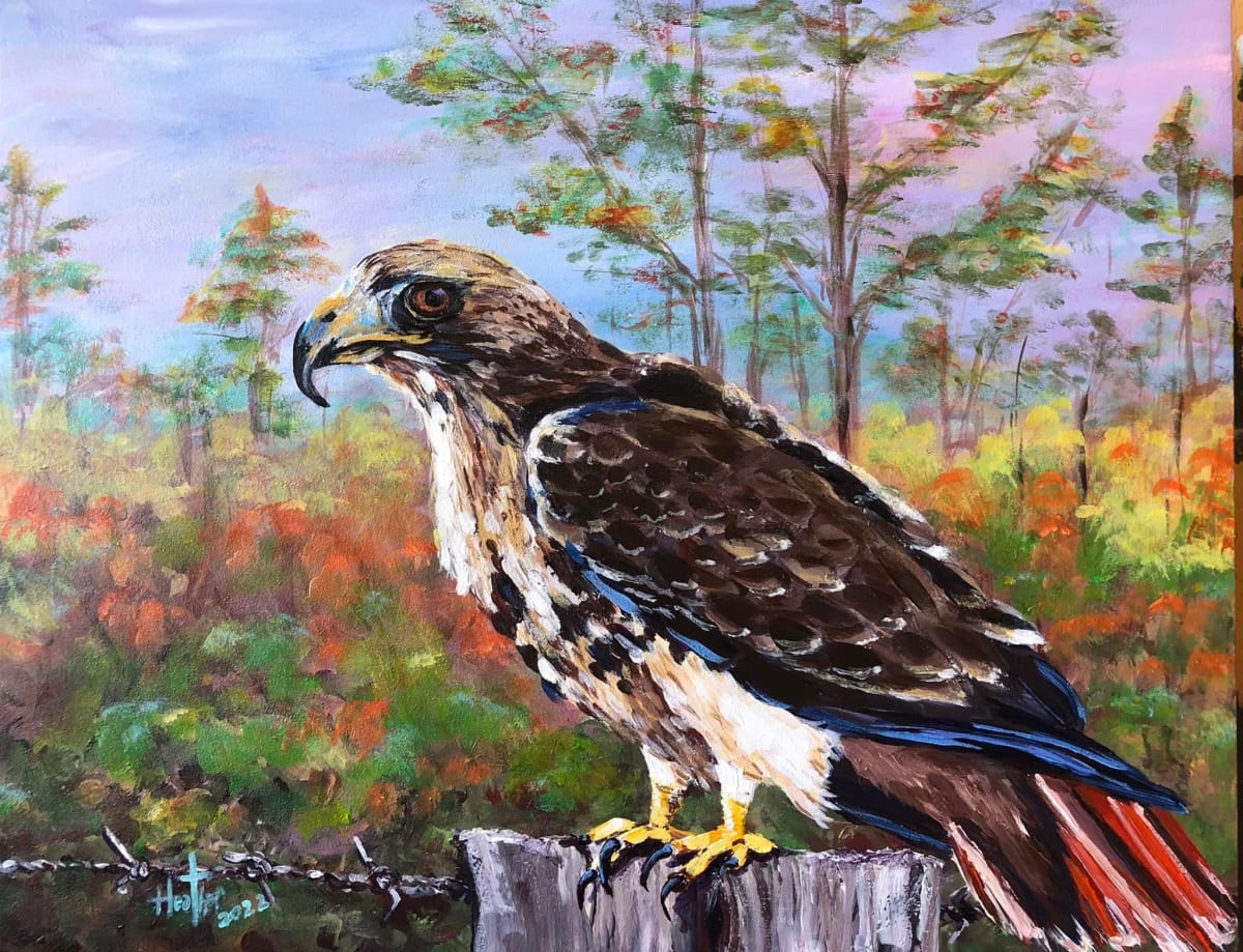 Red Tail Watch by Heather Burris 