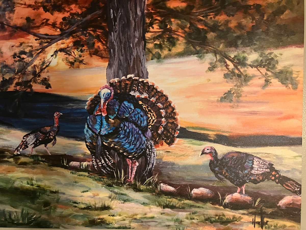 Proud Tom Turkey by Heather Burris 
