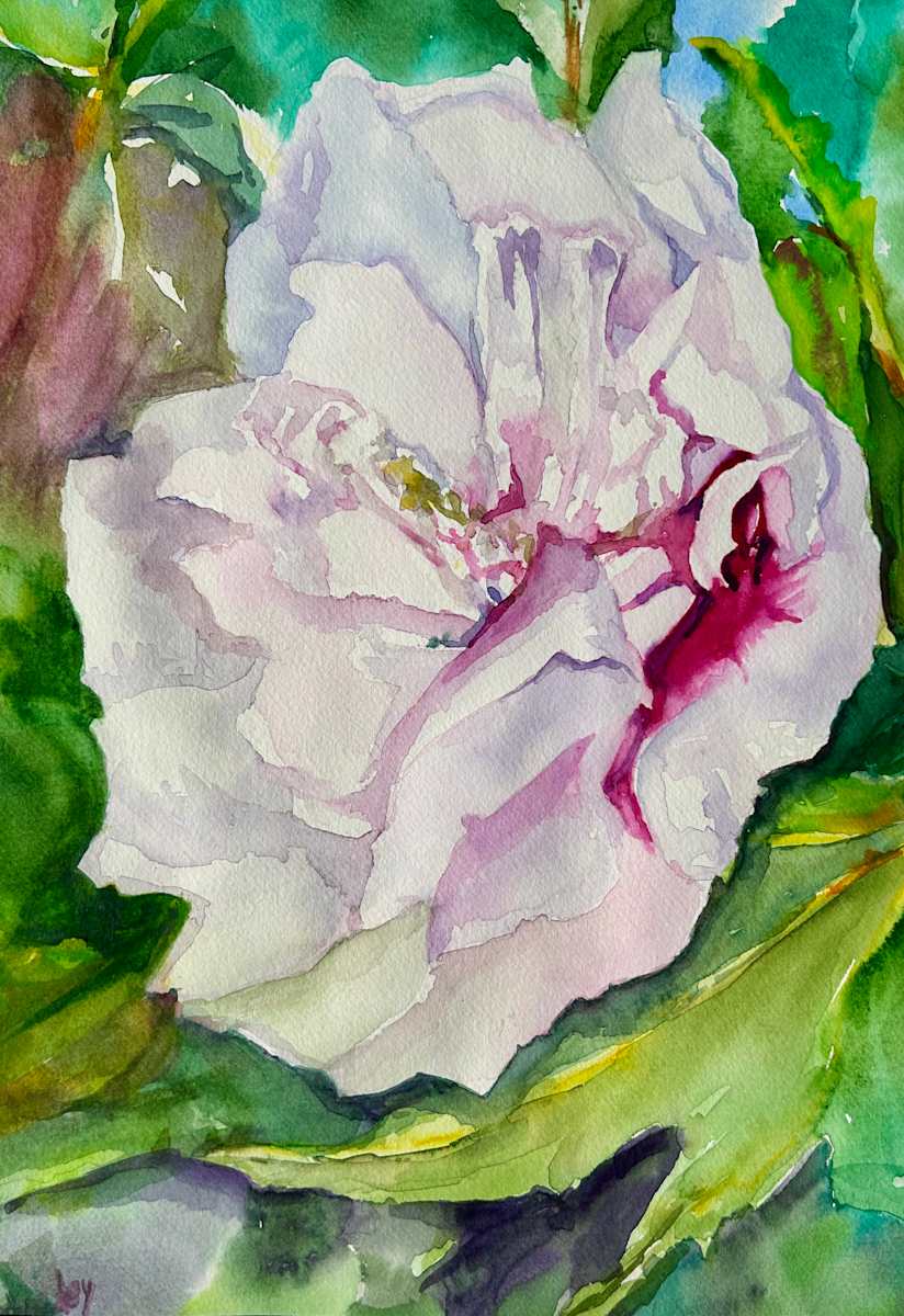 Double Bloom Althea by Linda Schooley, Image 1.