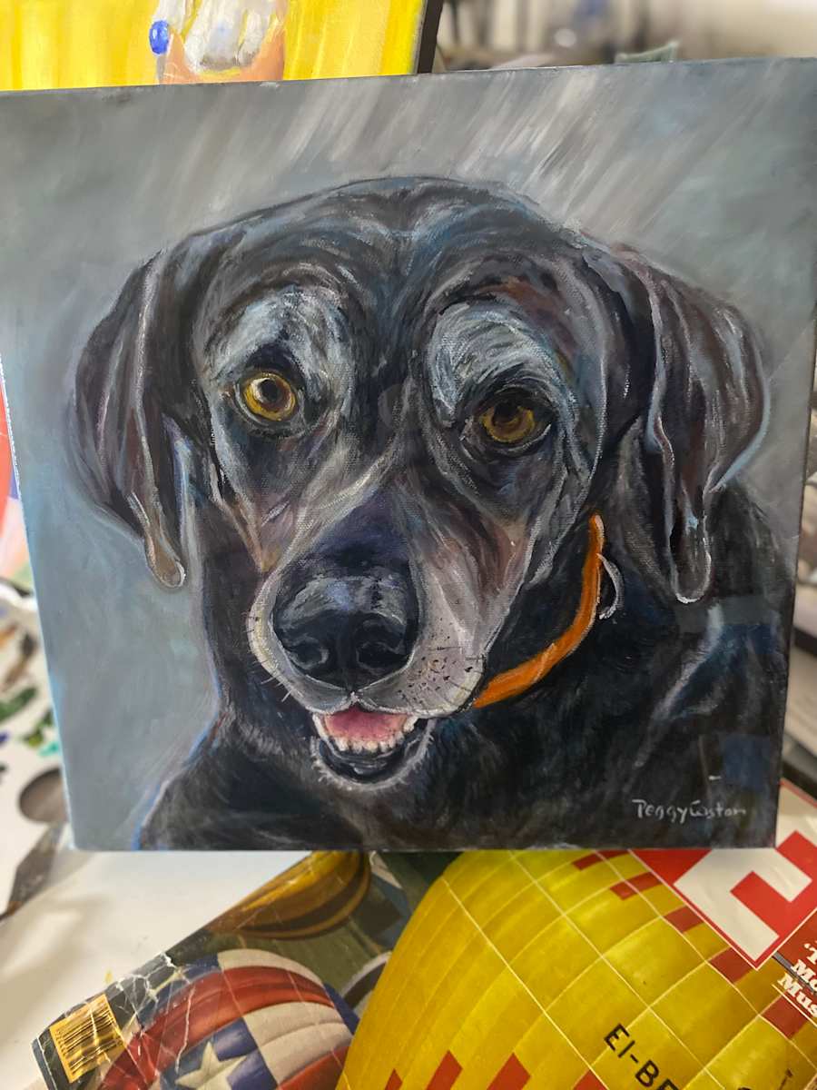 Old lab by Peggy Coston 
