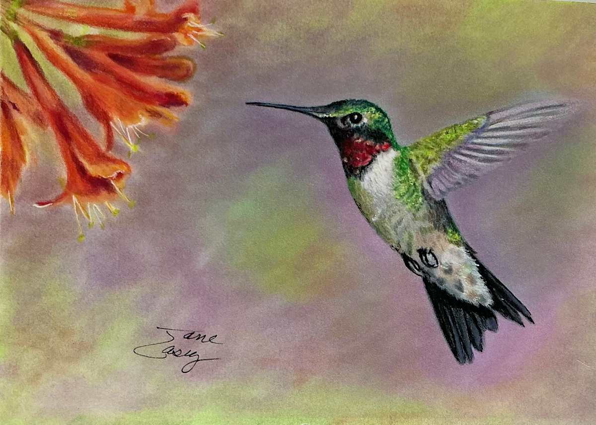 “Finding Honey” Hummingbird Series by Jane Casey 