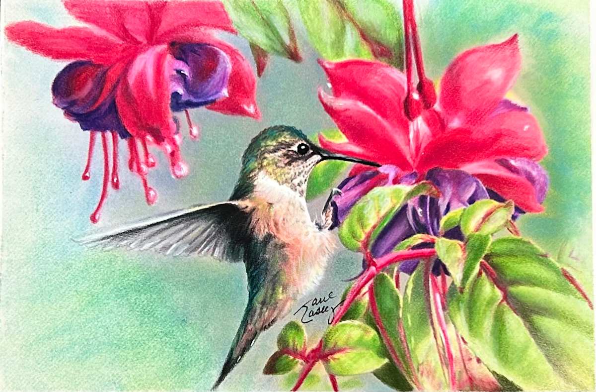 She Loves Fuscia by Jane Casey 