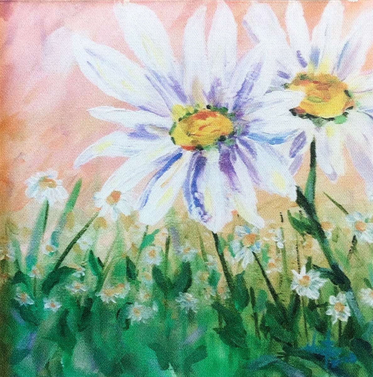 Colt’s Daisy by Heather Burris 