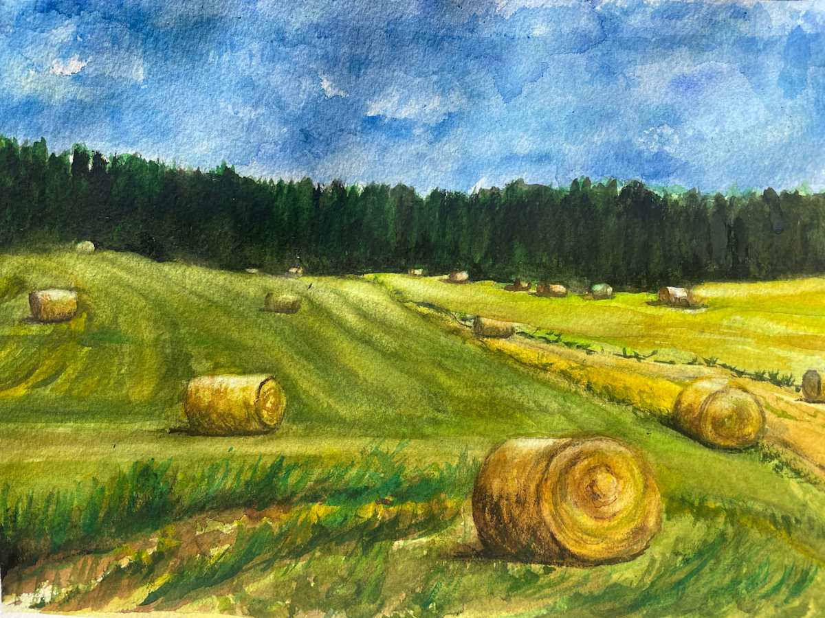 Haybales on a pasture in East Texas by Marsha Blount 