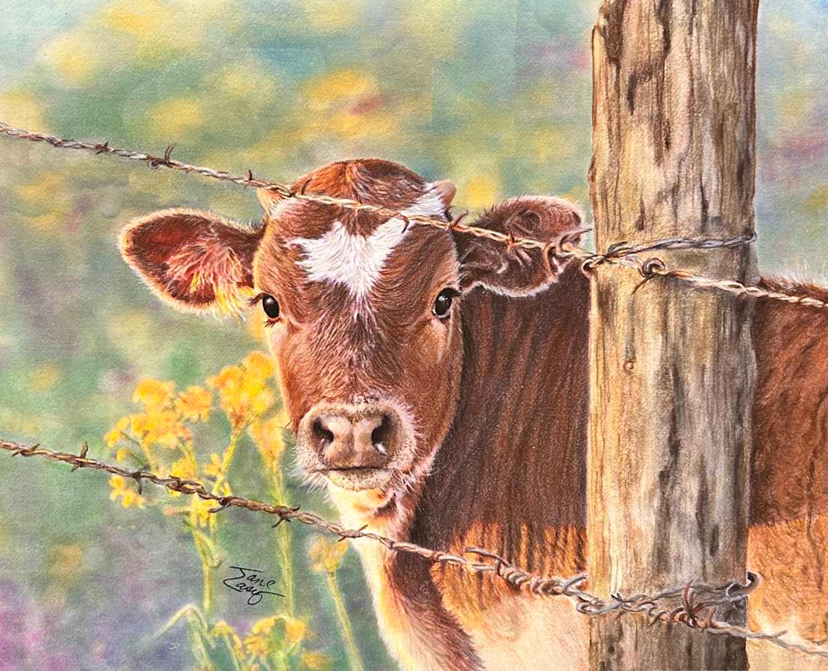 When I Grow Up by Jane Casey 