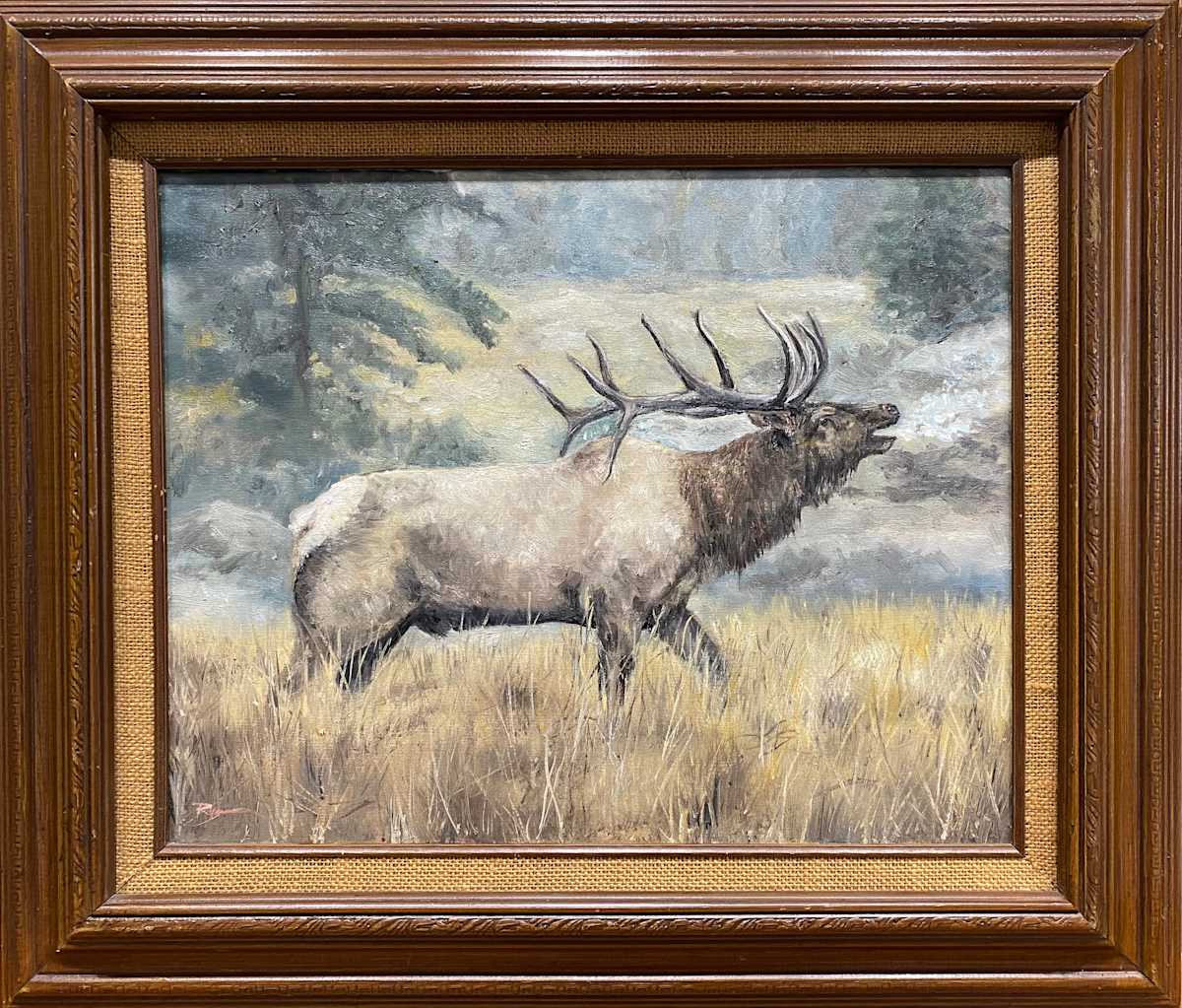 Elk by Ryan Richey 