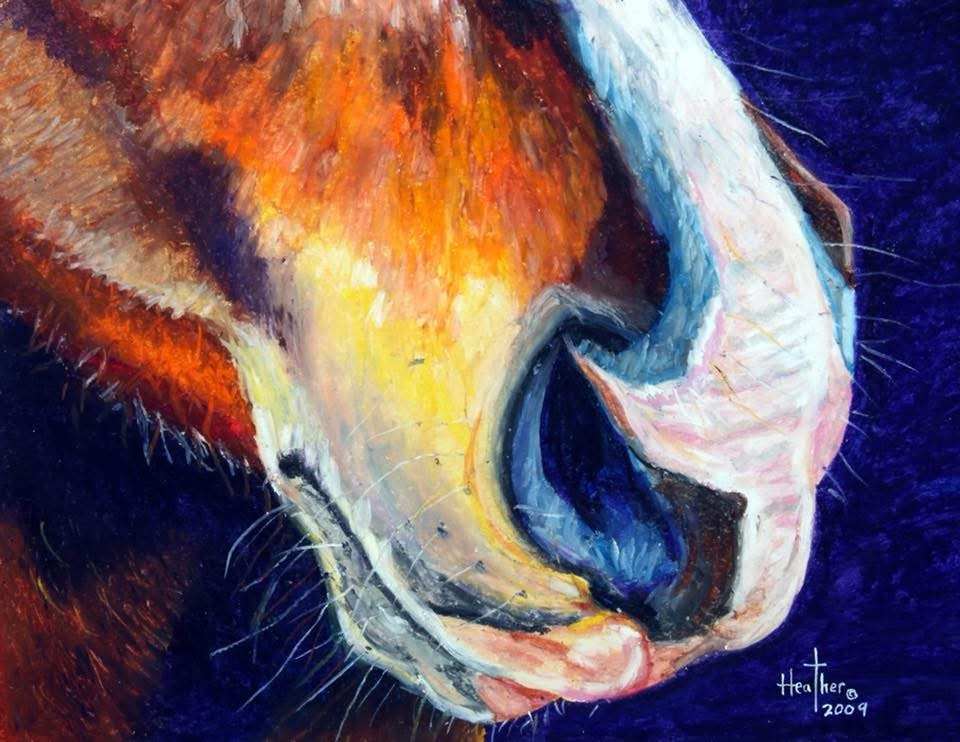 Muzzle by Heather Burris 