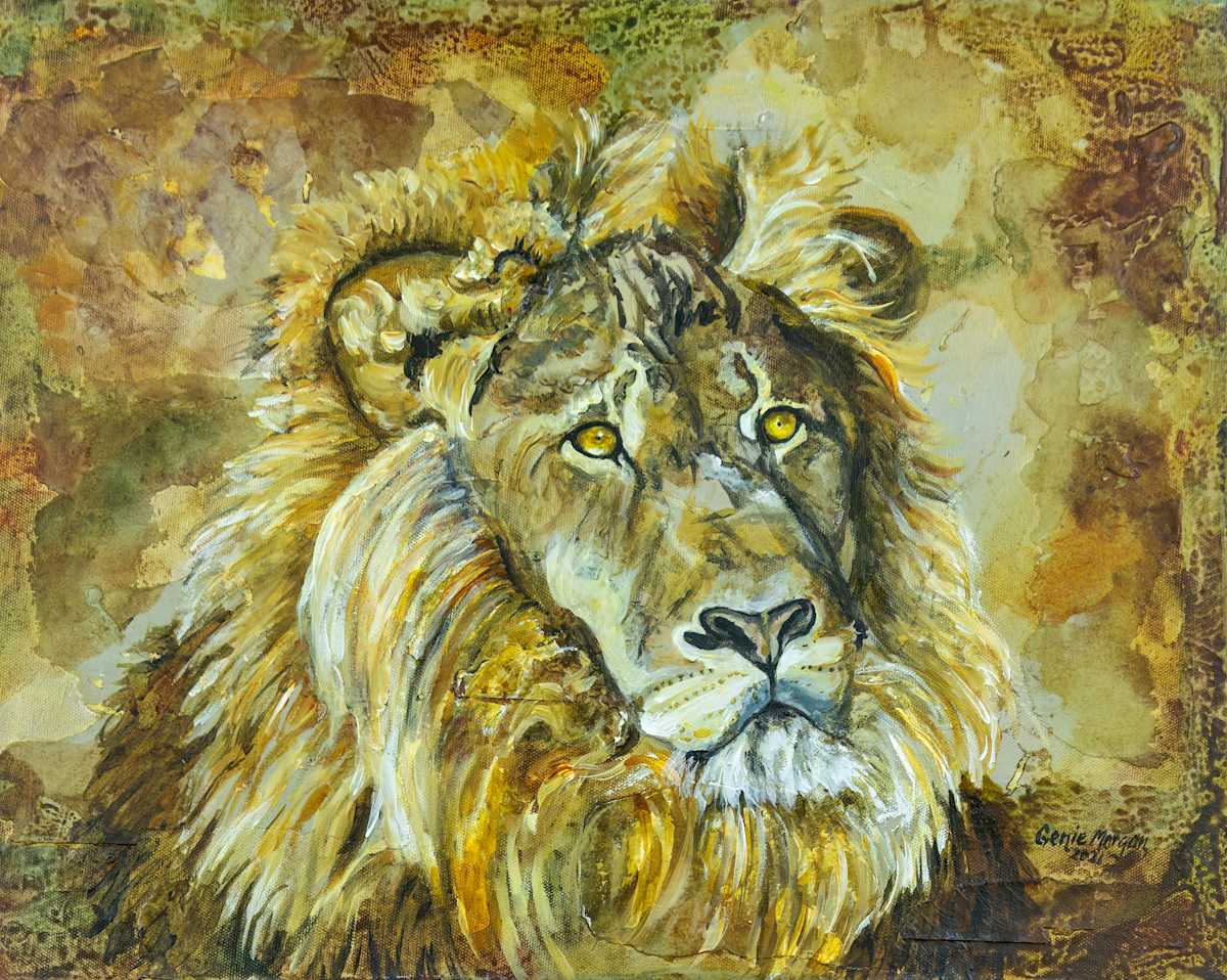 Pleading Lion by Genie Morgan 