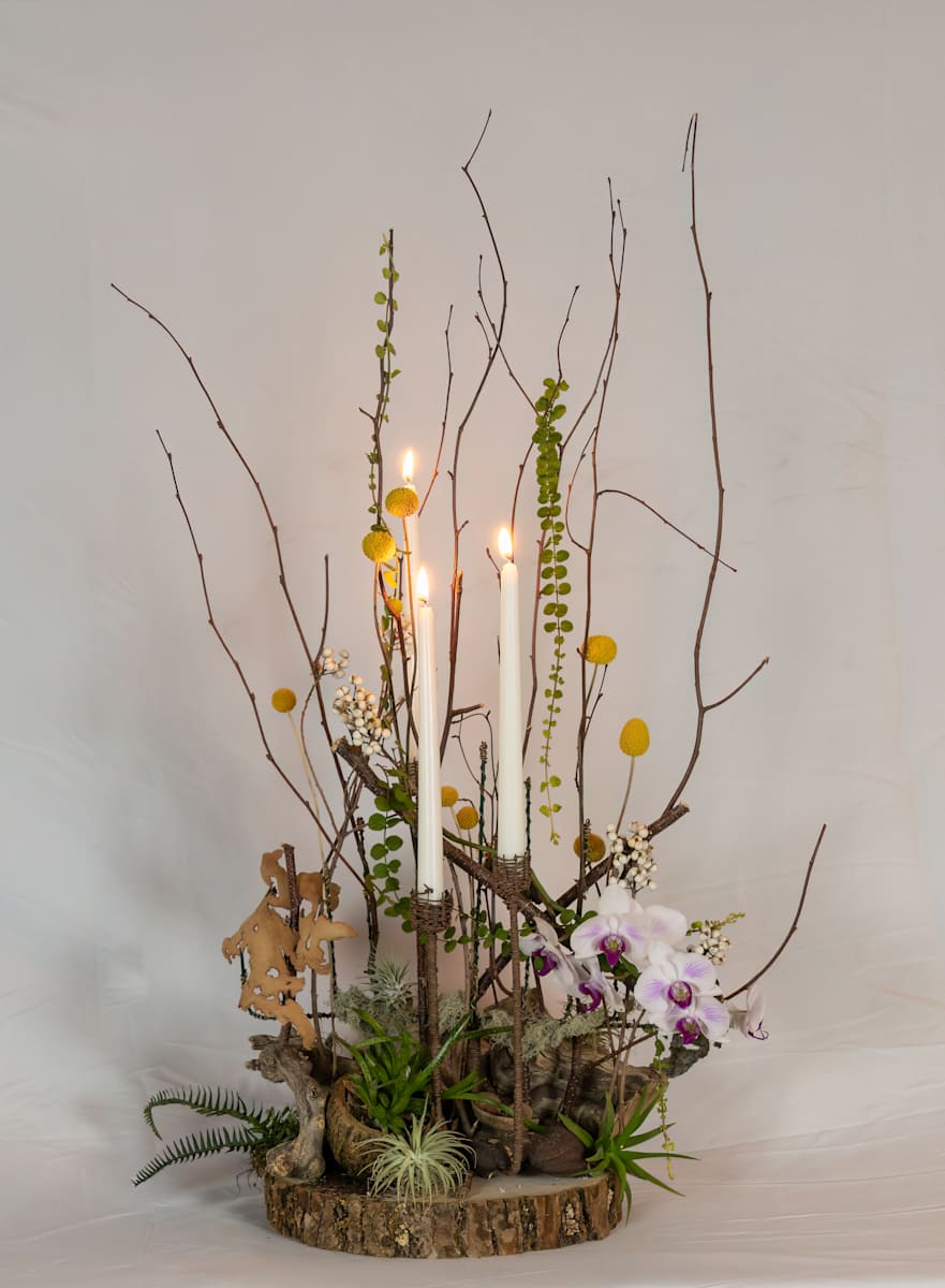 Nature Recovers by Diane Reis, Image 1.