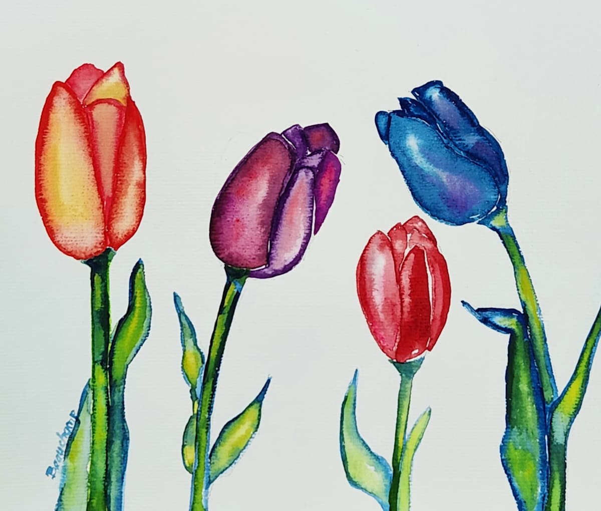 Tulips on Parade by Nancy Beauchamp 