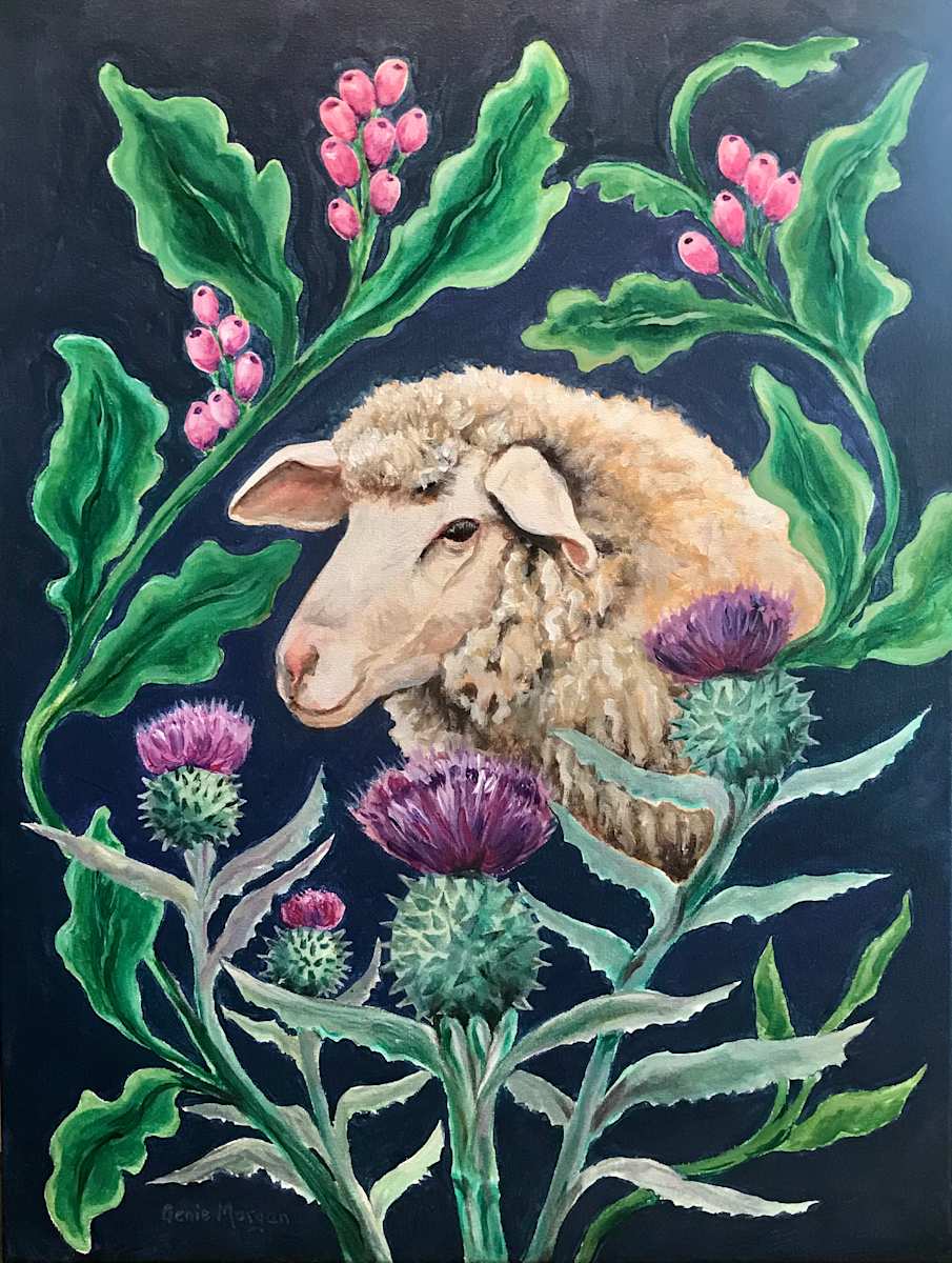 Scottish Highland Sheep by Genie Morgan 