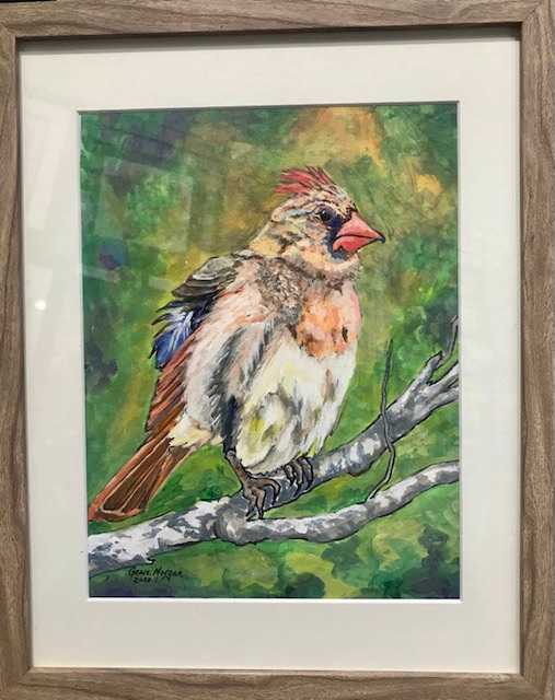 Mrs. Cardinal by Genie Morgan 