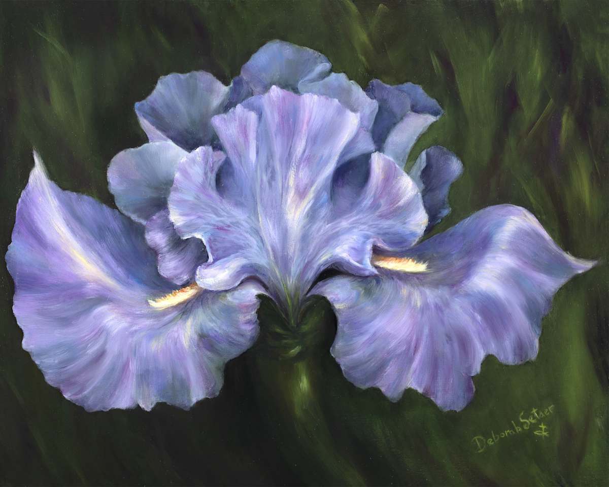 Iris of Valor by Deborah Setser 