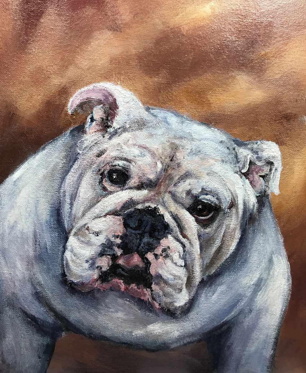 Howie - the English Bulldog by Deborah Setser 