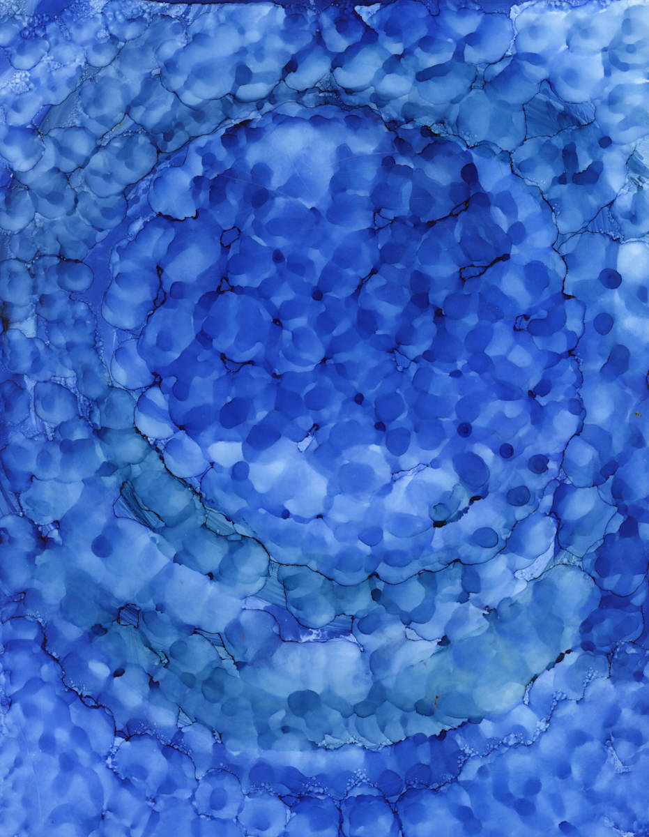 Circle_of_Life_lslfhg_18 by Charrise Mccrorey 