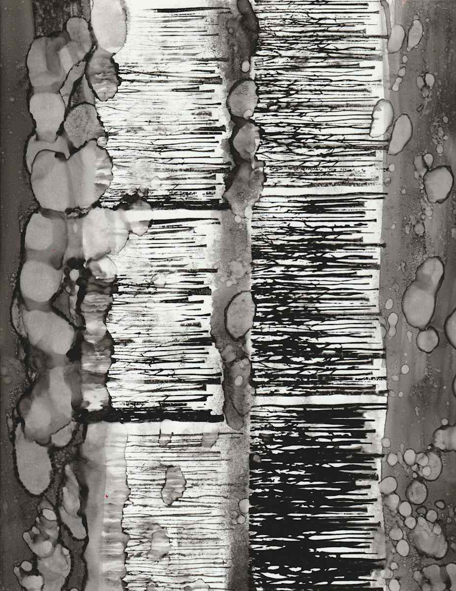 Dark_Forest_bzcjlo_12 by Charrise Mccrorey 