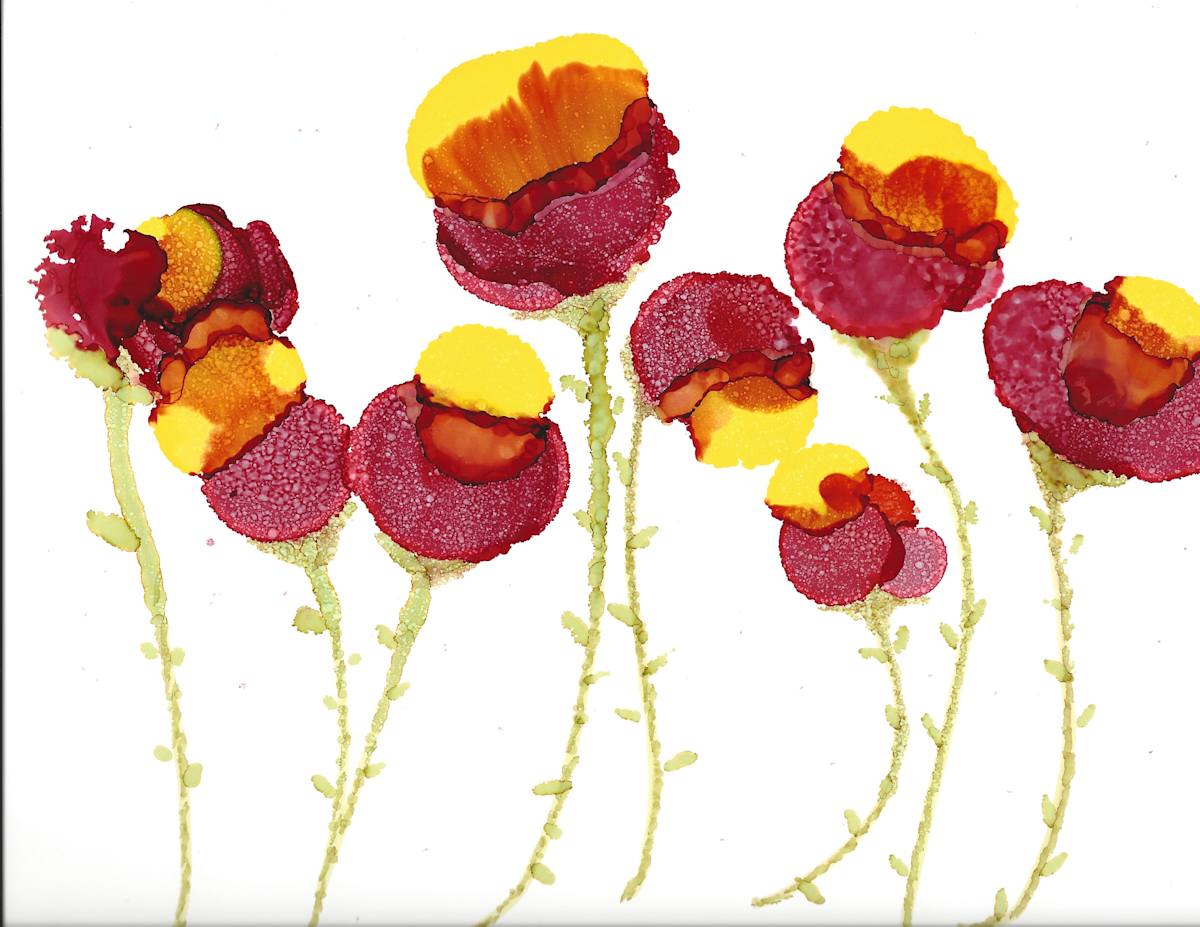 Poppies_bt9zme_4 by Charrise Mccrorey 