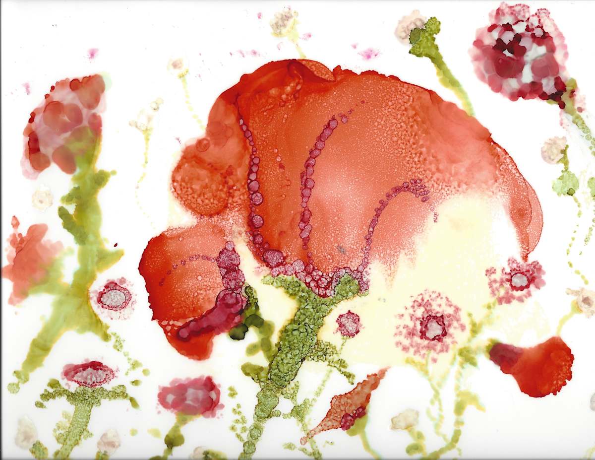 Poppy_lsfmcd_0 by Charrise Mccrorey 