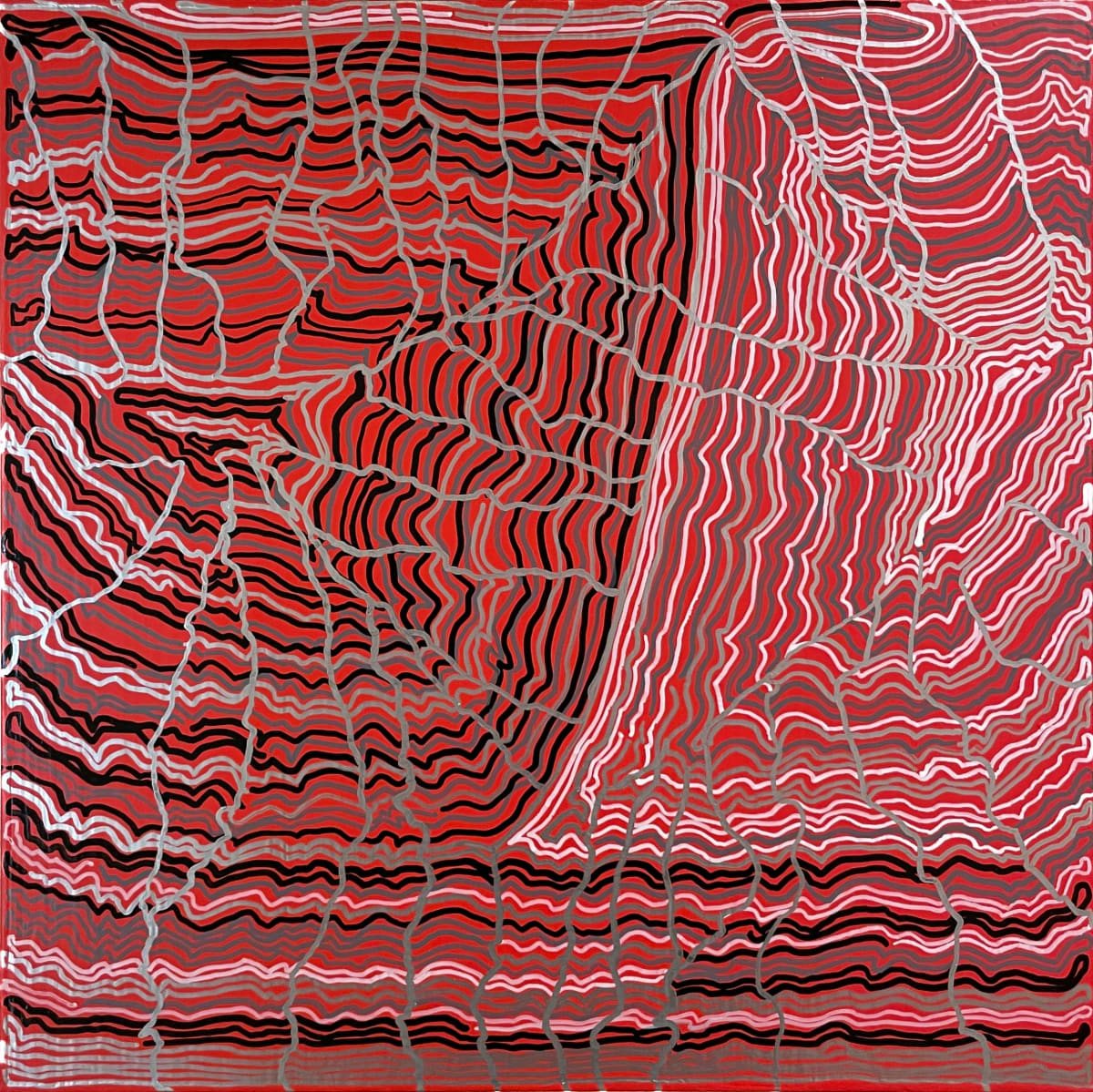 Black, White, and Gray Matters by Annie Beeson  Image: A system of lines intertwines and undulates.