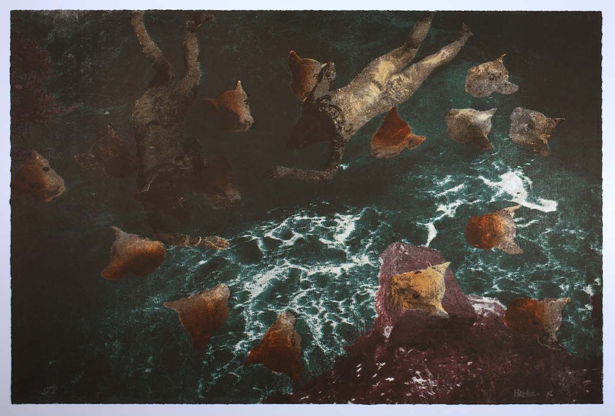 Swimmers by Bonnie Baxter 