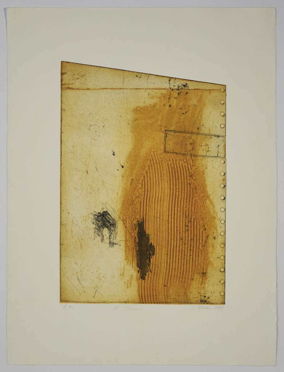 Le témoin by Catherine Farish 