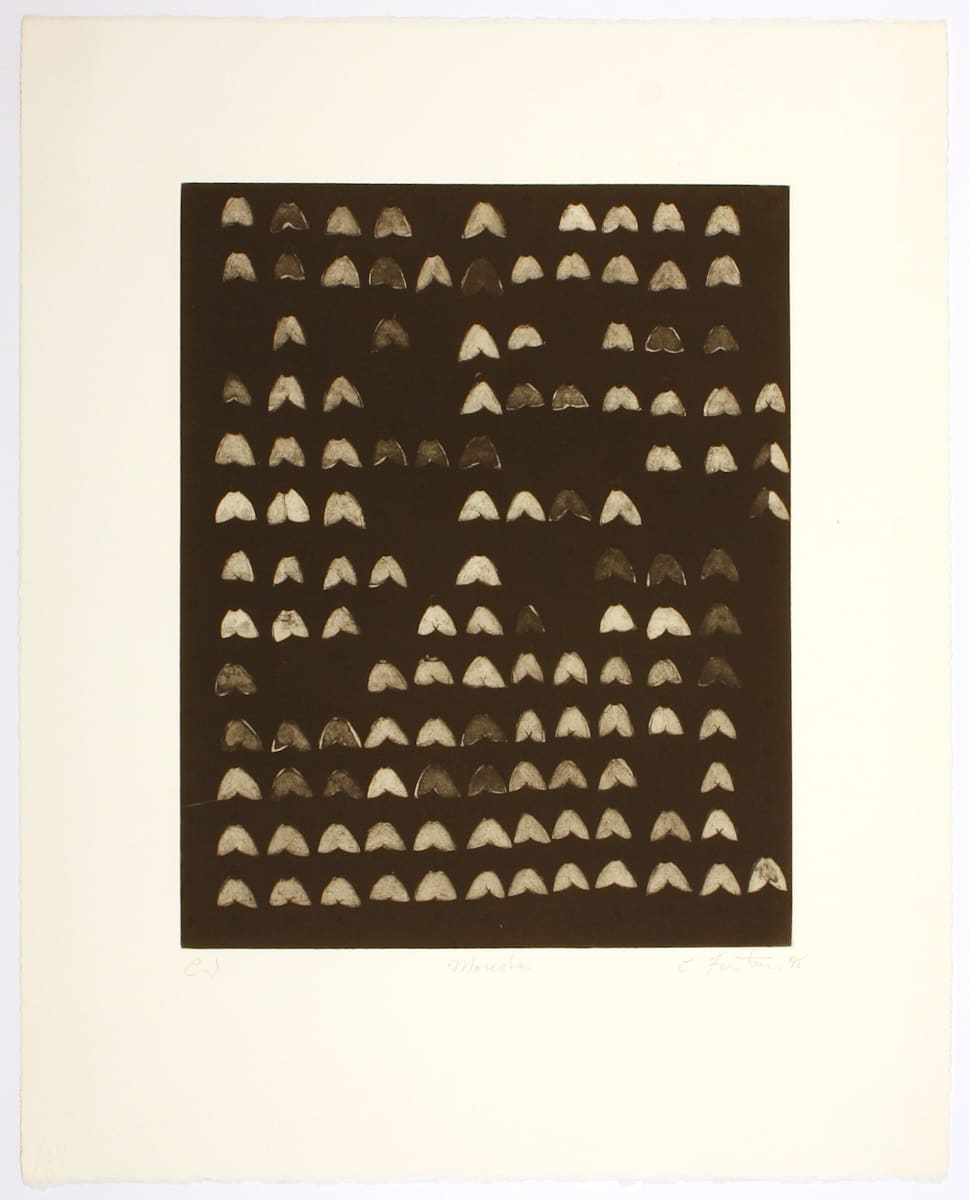 Mouches by Charlotte Fauteux 