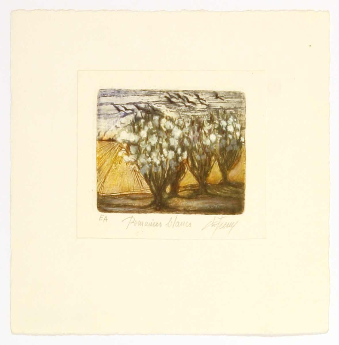 Pommiers blancs by Christiane Frenay 